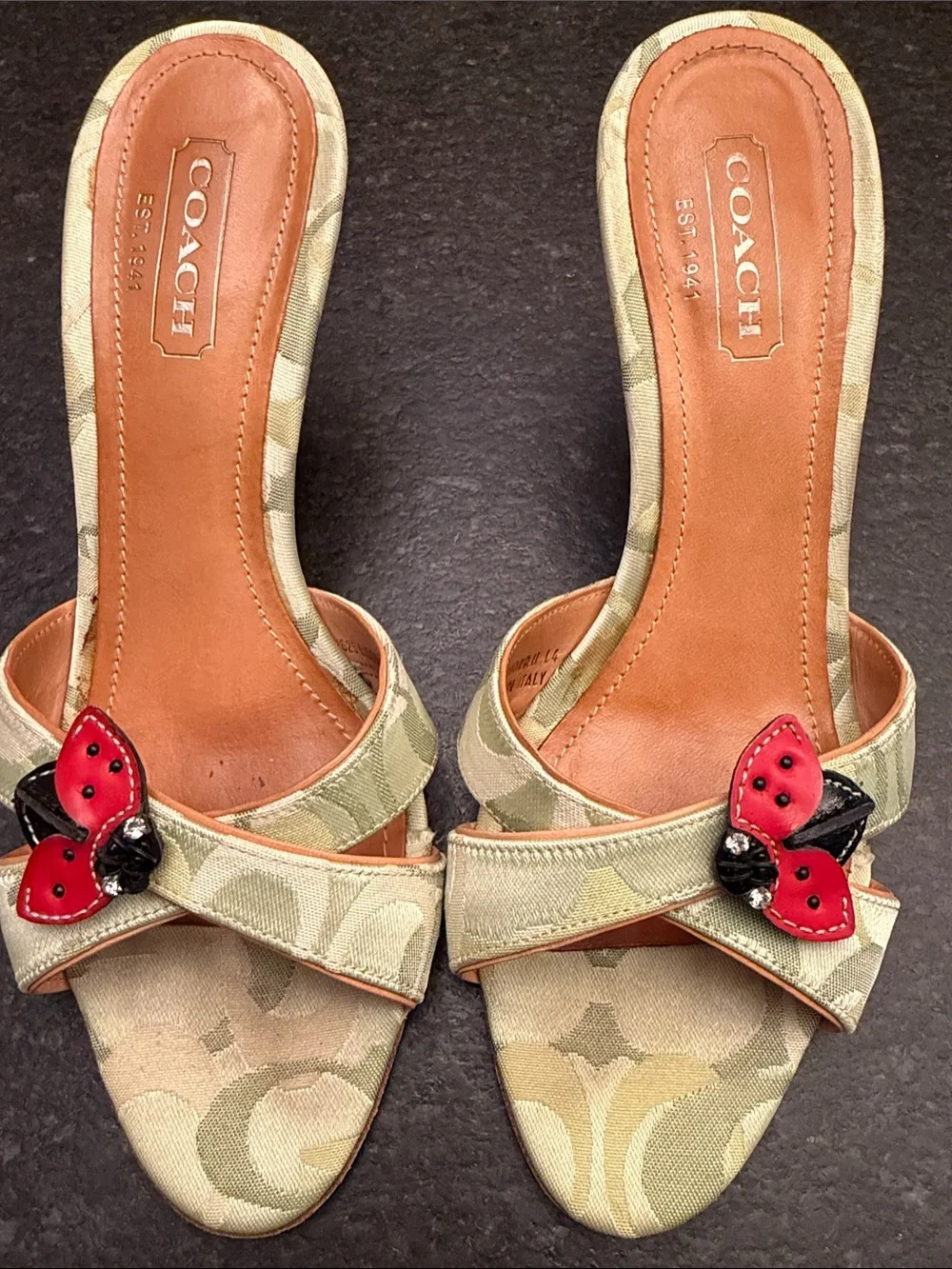 Coach rare ladybug slides vintage shoes 7 B
